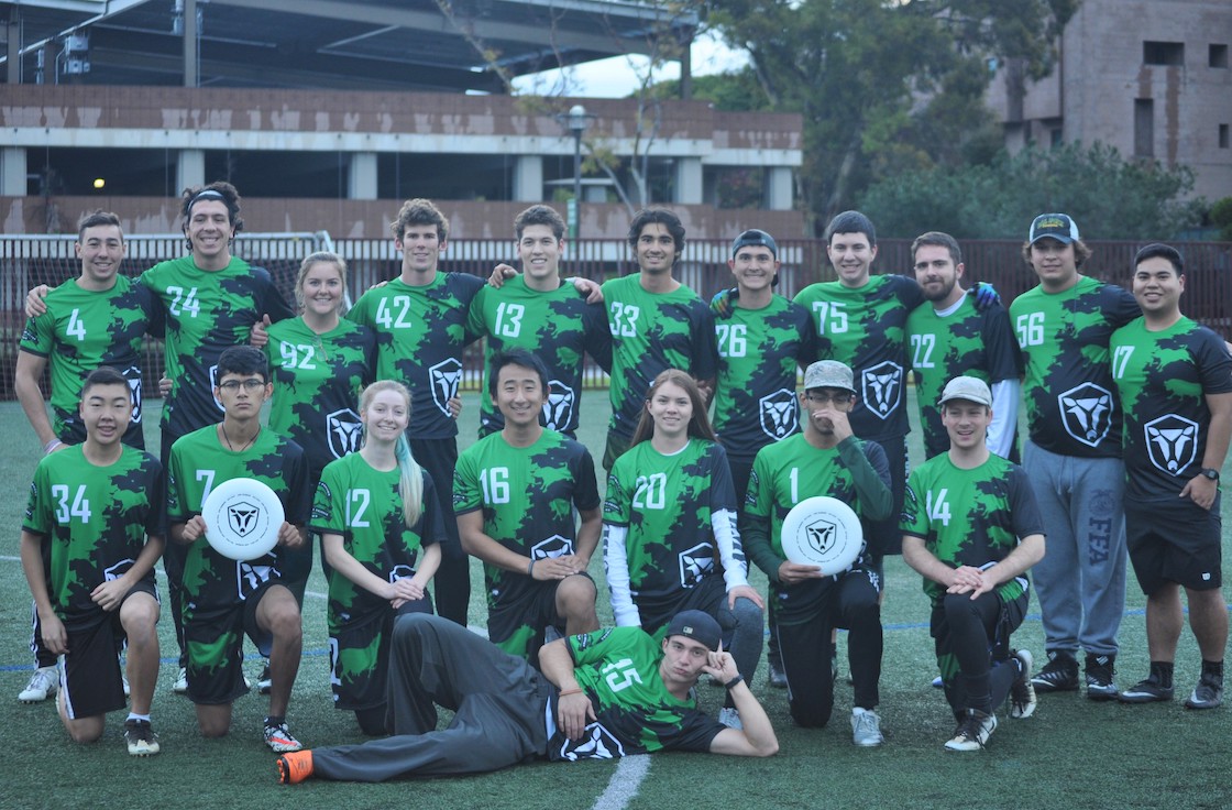 Cal Poly Pomona Cows