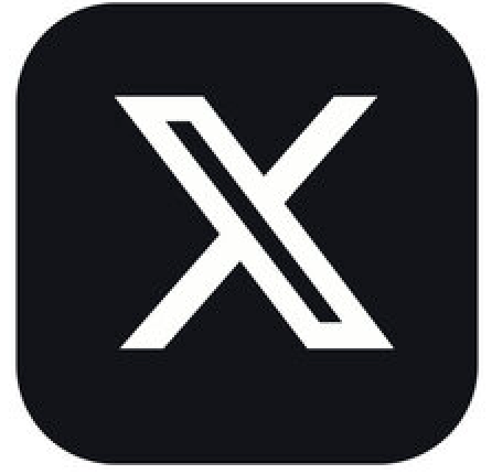 x icon
