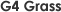 G4 Grass