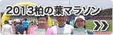 2013���̗t�}���\��